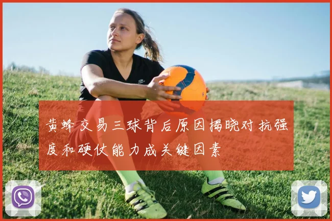 黄蜂交易三球背后原因揭晓对抗强度和硬仗能力成关键因素