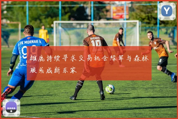 雄鹿持续寻求交易机会绿军与森林狼或成新东家